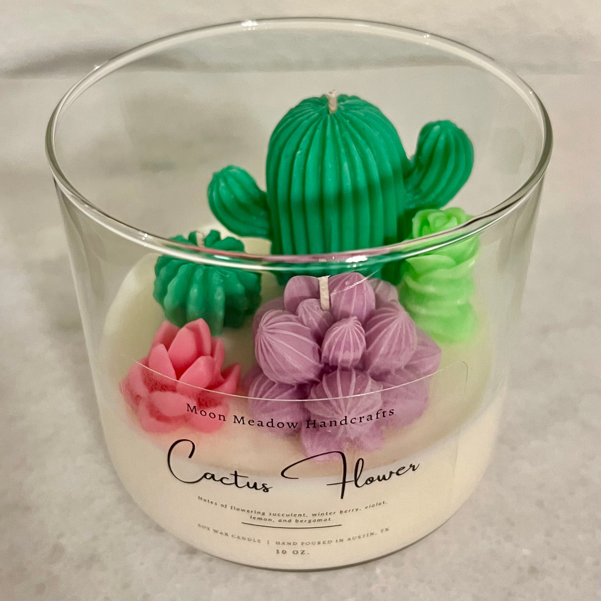 succulents candles Cactus Garden (3 Wick) – Moon Meadow Handcrafts